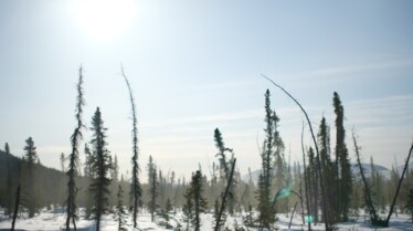 Alaska  Nouvelle vie - Plaisir d’offrir (1).jpg
