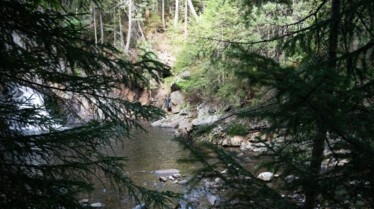 A l'épreuve de la nature  Meilleurs amis (1).jpg