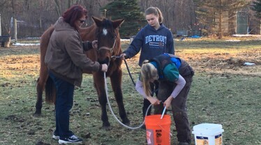 L'incroyable Dr Pol  Champ de bétail (1).jpg