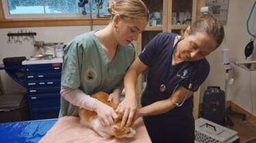 Michelle ou la vie sauvage  Casano-ouaf (1).jpg