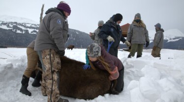 Michelle ou la vie sauvage  Casano-ouaf (3).jpg