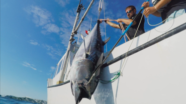 Pêche à haut risque  Un plan en or  (2).png