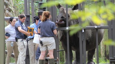 ZOO TAMPA Pourquoi est-elle si mêêê-chante  (1).jpg