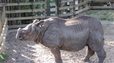 ZOO TAMPA Pourquoi est-elle si mêêê-chante  (3).jpg