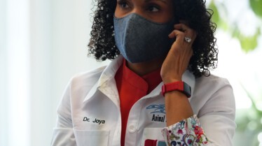 Dr. Joya Tous aux abris ! (3).jpg