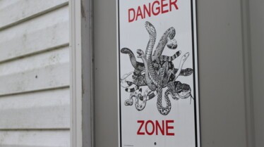 Snake Underworld (1).JPG