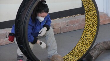 Secrets of the Zoo Tampa (2).jpg