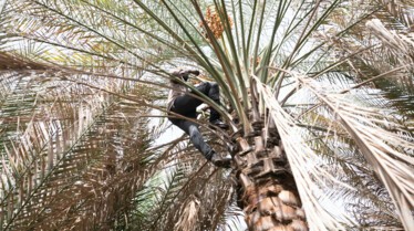 7 jours pour survivre Oman (7).jpg