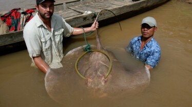 Bêtes de poissons - Les dents de la rivière (3).JPG