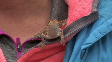 La clinique des animaux exotiques (1).JPG