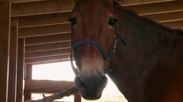 La clinique des animaux exotiques (2).JPG