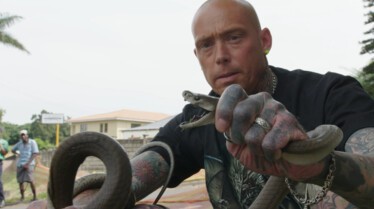 Snakes In The City - La fête aux pythons (1).jpg