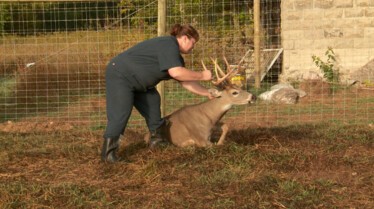 The Incredible Dr. Pol (1).jpg