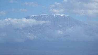 SecretsOfTheElephants (2).jpg