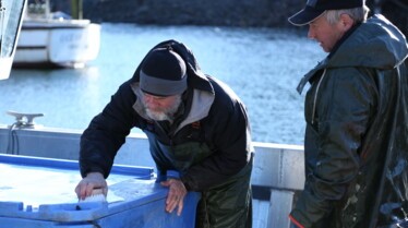 Alaska  seuls au monde - Roi des ours (1).jpg