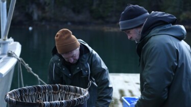 Alaska  seuls au monde - Roi des ours (2).jpg