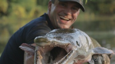 Bêtes de poissons (3).jpg