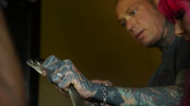 Snakes In The City - L’été des mambas noirs (3).jpg