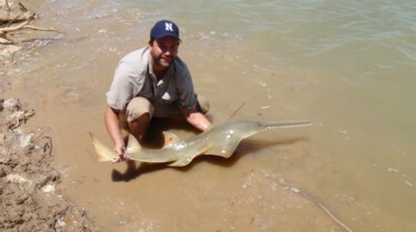 Bêtes de poissons (3).JPG