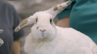 La clinique des animaux exotiques(3).jpg