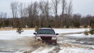 L'incroyable Dr Pol (3).jpg