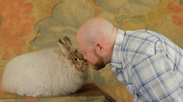 Volailles en pagaille (1).jpg