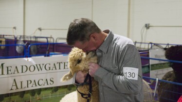 GoingFurGold_TailsOfVictory(1).jpg