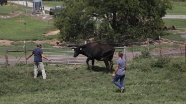 TheHatcherFamilyDairy_Udderly Challenging(1).jpg