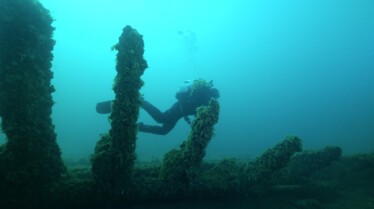 Trésors sous les mers (3).JPG