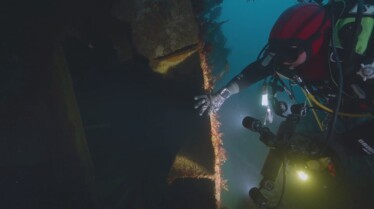Trésors sous les mers  Colosses des mers (1).jpg