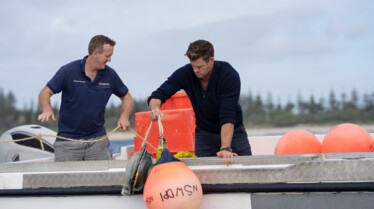 Chris Hemsworth à la rencontre des requins (10).jpg