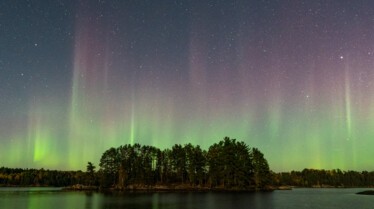 La vie à l’état sauvage Les animaux des parcs nationaux américains (2).jpg