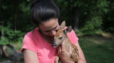 Le refuge du bonheur  Sauvez Bambi ! (1).jpg