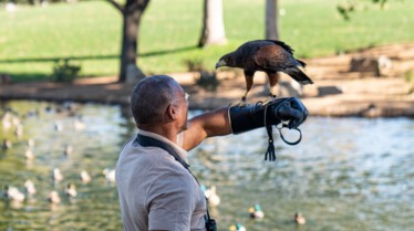 101_ExtraordinaryBirderWithChristianCooperPalmSprings_031.jpg