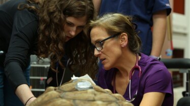 La clinique des animaux exotiques _ À la rescousse ! (1).jpg