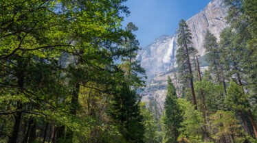 Au coeur des parcs nationaux d'Amérique _ Le Yosemite (2).jpg