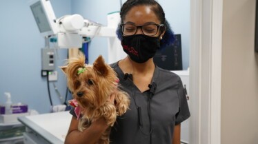 Critter Fixers _ Vétos de choc - Vétérin’hair (1).jpg