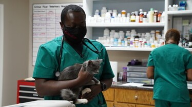 Critter Fixers _ Vétos de choc - Vétérin’hair (3).jpg