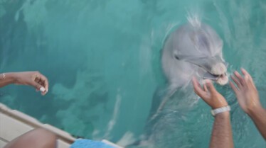 Les animaux déraillent  Géants en colère (2).jpg