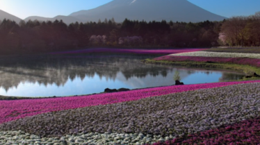 Le Japon vu du ciel  Le berceau des traditions (3).png