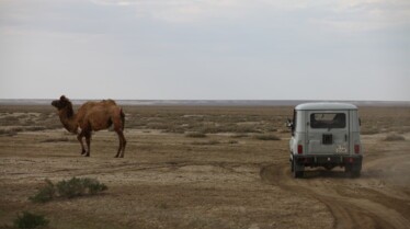 Ne dites pas à ma mère  Kazakhstan (3).JPG