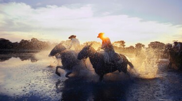 Exposition National Geographic Histoires de sports (2).jpg