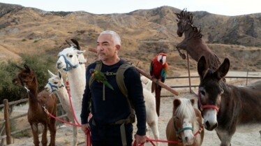 Cesar Millan  Tel maître, tel chien  Apte au service (2).jpg