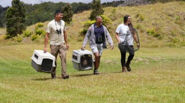 Extraordinary Birder with Christian Cooper Hawaii (1).jpg
