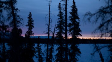 Alaska  Nouvelle vie - Plaisir d’offrir (3).jpg