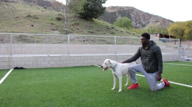 Cesar Millan  Tel maître, tel chien - Bombe à retardement (1).jpg