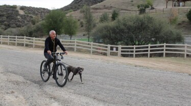 Cesar Millan  Tel maître, tel chien - Bombe à retardement (3).jpg