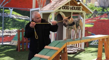 Cesar Millan  Tel maître, tel chien - Une patte devant l’autre (2).jpg