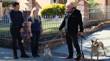 Cesar Millan  Tel maître, tel chien - Une patte devant l’autre (3).jpg