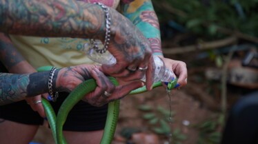 Snakes in the city Mission cauchemar (3).jpg